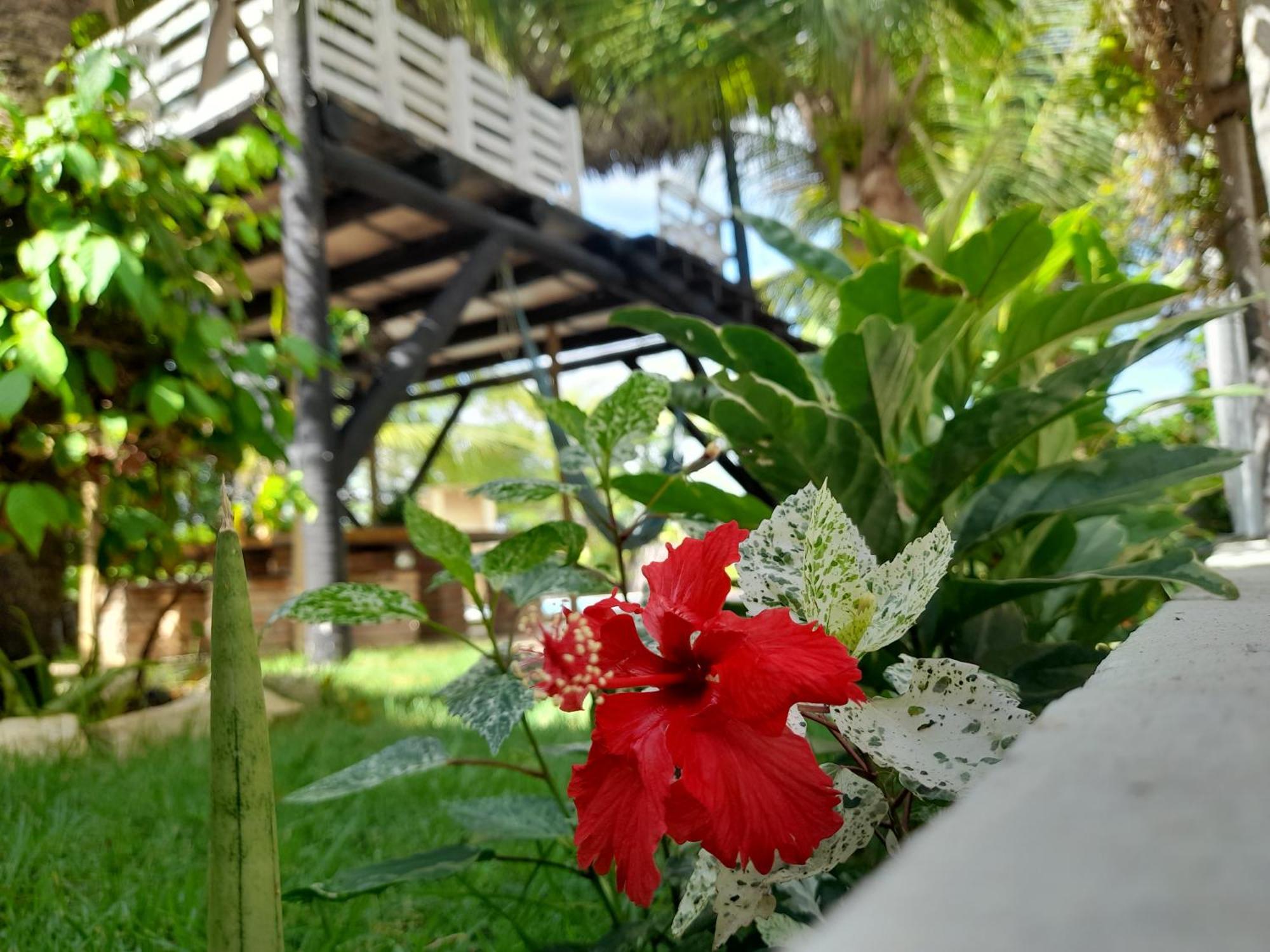 Vila Branca Canoa Canoa Quebrada Exterior photo